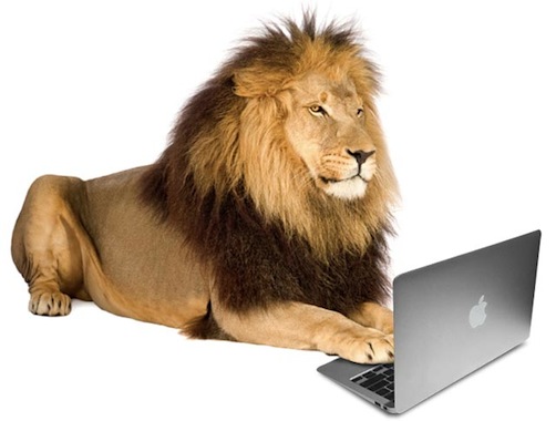 MacBook Air 2011    Mac OS X Lion