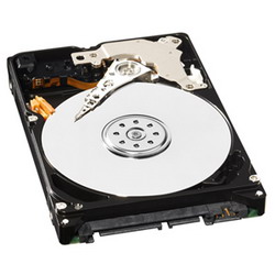   Western Digital WD3200BUDT